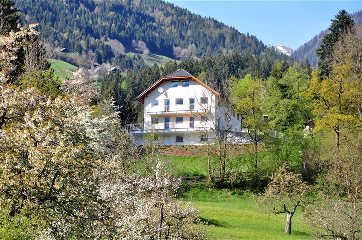 Haus Pflaum Apartamento Dellach im Drautal Exterior foto